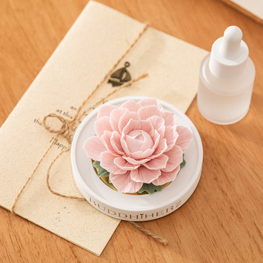 Kamelien-Porzellanblume Rosa mit Duftöl