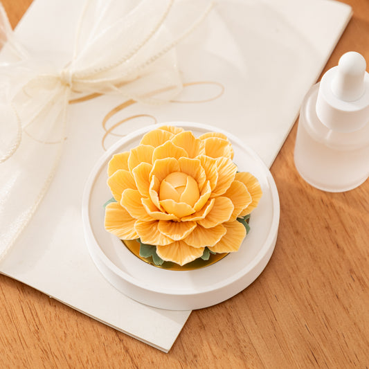 Kamelien-Porzellanblume Gelb mit Duftöl