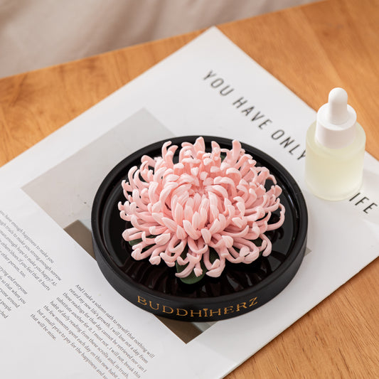 Lotos-Chrysantheme-Porzellanblume mit Duftöl