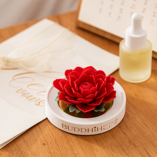 Kamelien-Porzellanblume Rot mit Duftöl