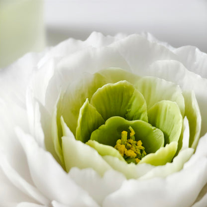 Tianshan Snow Lotus Porcelain Flower with Fragrance Oil 