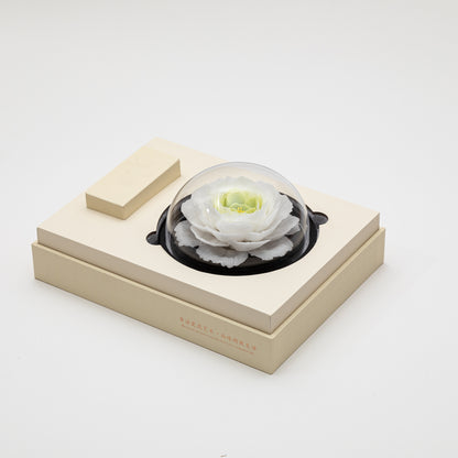 Tianshan Snow Lotus Porcelain Flower with Fragrance Oil 