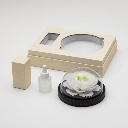 Tianshan Snow Lotus Porcelain Flower with Fragrance Oil 