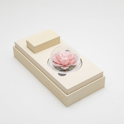 Camellia Porcelain Flower Pink with Fragrance Oil 