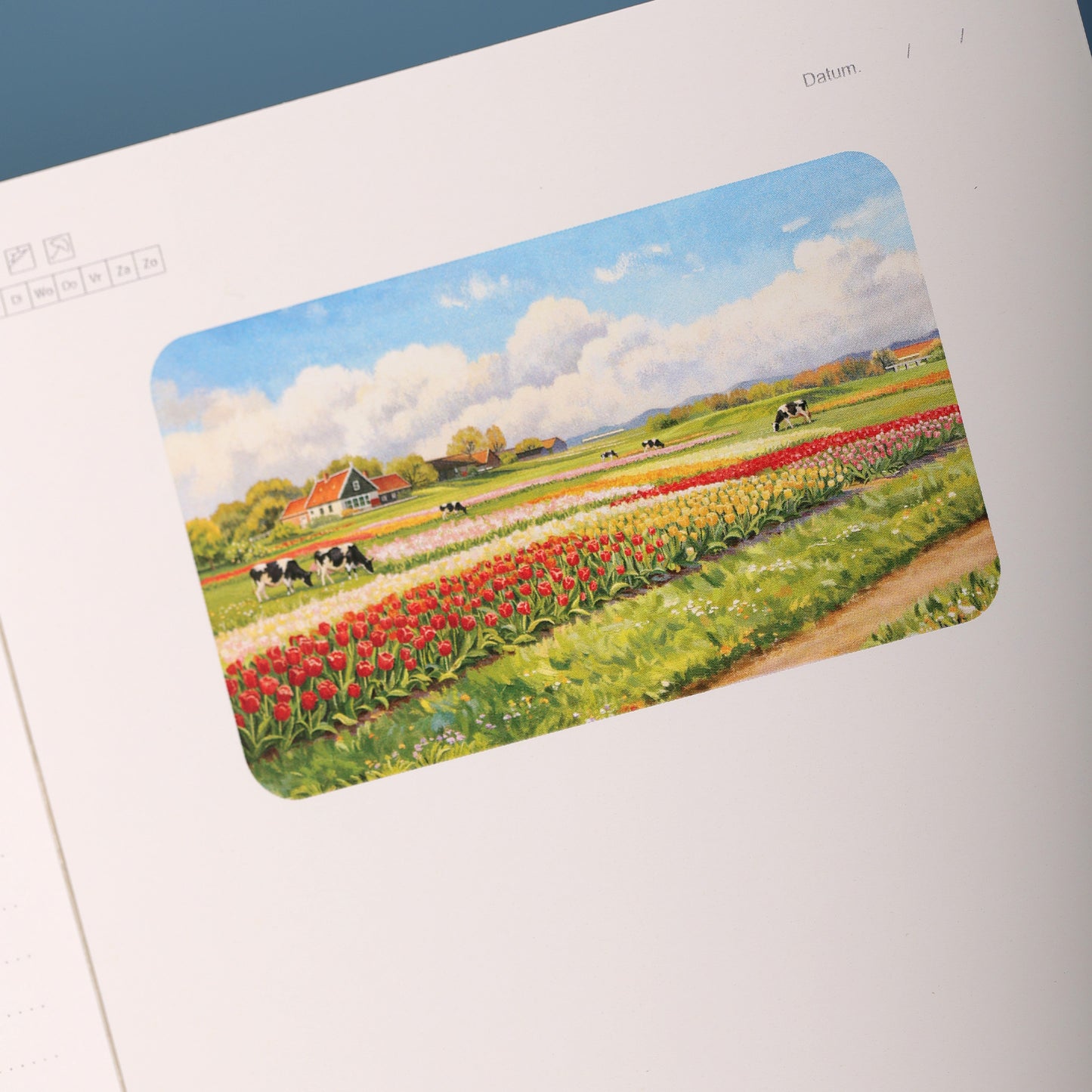 3D Notizbuch Holland