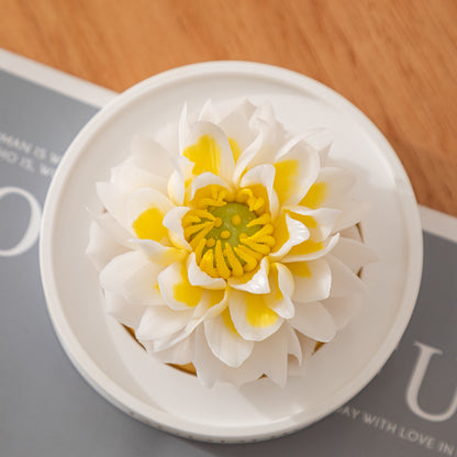 Ice Jade Lotus Porcelain Flower with Fragrance Oil 
