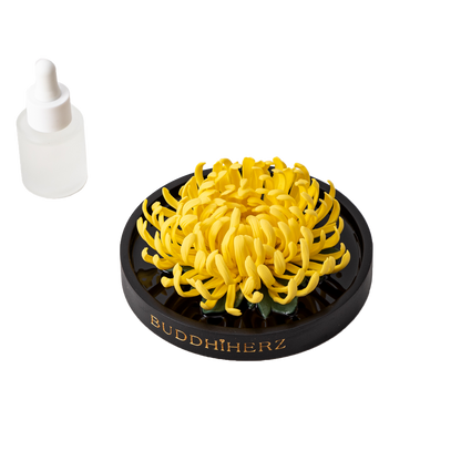Gold thread imperial chrysanthemum porcelain flower with fragrance oil 